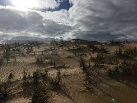 Cape Reinga - Wind And sand