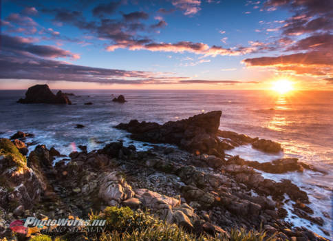 Great Coast Road - Seal colony sunset tauranga bay