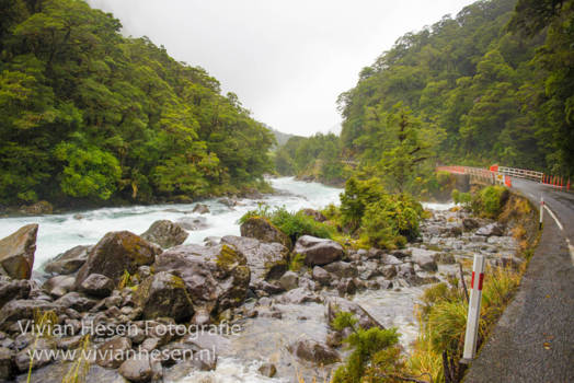 Milford Sound Highway - Road to Milford Sound