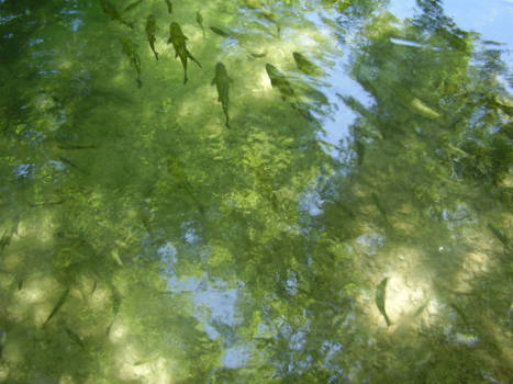 Rondreis Nieuw-Zeeland in zes weken - The Sky is the limit