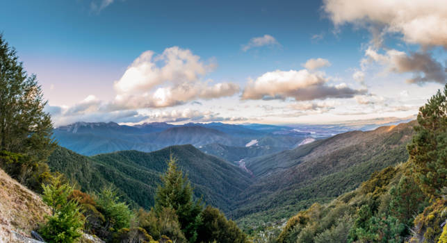 Marlborough & Nelson - Green vs blue.
