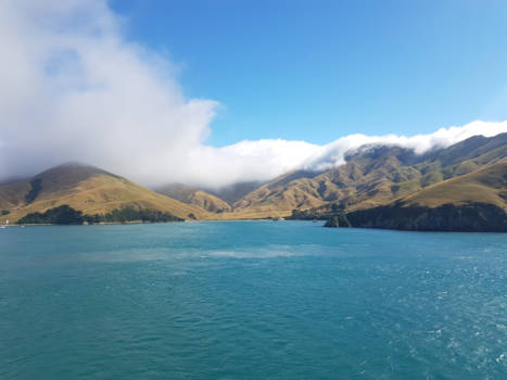 Rondreis Nieuw-Zeeland in zes weken - Laatste blik op het Zuidereiland,met de ferry naar het noordereiland!!
