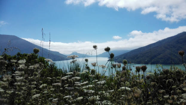 Marlborough Sounds - So far away, yet always so close