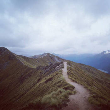Kepler Track - Alleen op de wereld