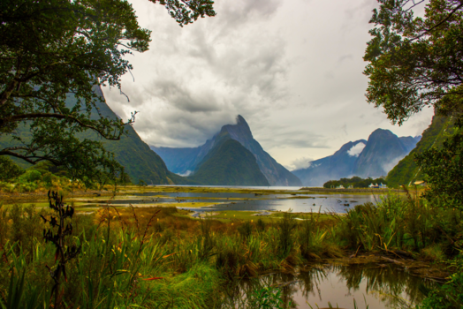 Milford Sound - Milford sound