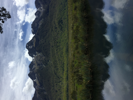 Milford Track - Een weerspiegeling van Nieuw-Zeeland