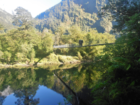 Milford Sound Highway - Milford track