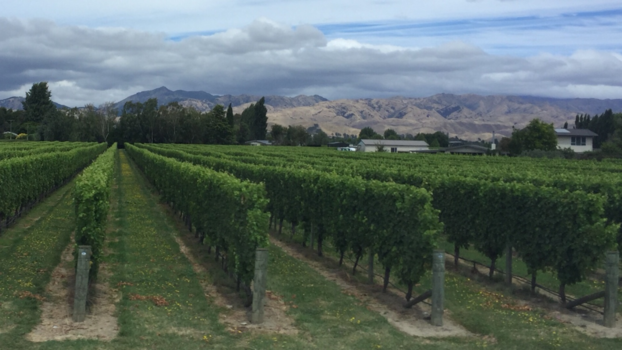 Marlborough & Nelson - Springlands