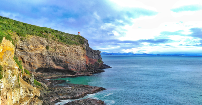 Otago - Taiaroa Head - Albatross