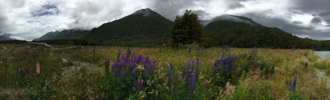 Fiordland National Park - Stil genieten, geen ondertiteling nodig!