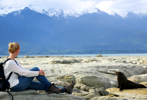 Kaikoura - Love at first sight