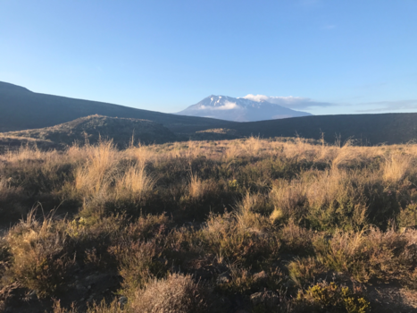Tongariro National Park - Beautiful Nature