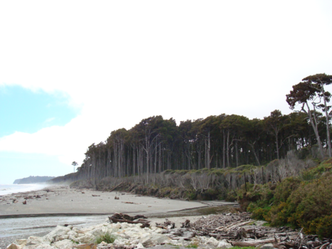 Zuidereiland - Greymouth Coast