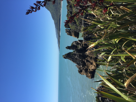 Queenstown - Paparoa national park  new zealand