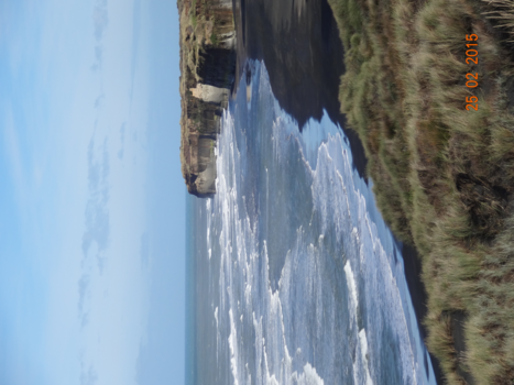 Rondreis Nieuw-Zeeland in zes weken - Zeezicht