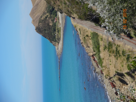 Rondreis Nieuw-Zeeland in zes weken - Spoorlijn langs de kust