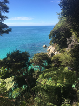 Abel Tasman National Park - Moments