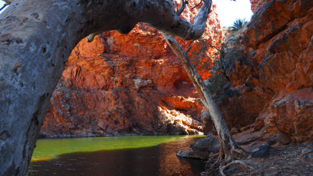 Rondreis Nieuw-Zeeland in zes weken - macdonellranges Australie