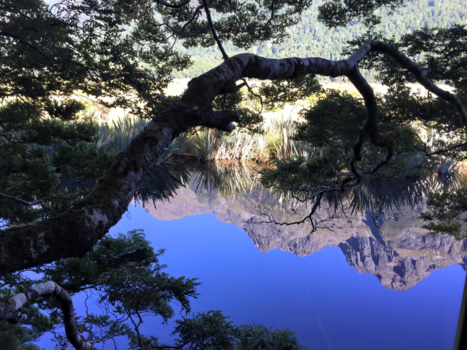 Milford Sound - Milford sound, mirror effect