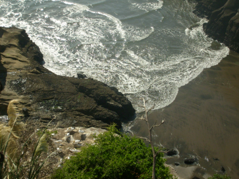 Rondreis Nieuw-Zeeland in zes weken - Broedplaats Jan van Genten