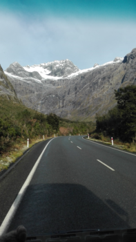 Milford Sound - Road to milford sounds