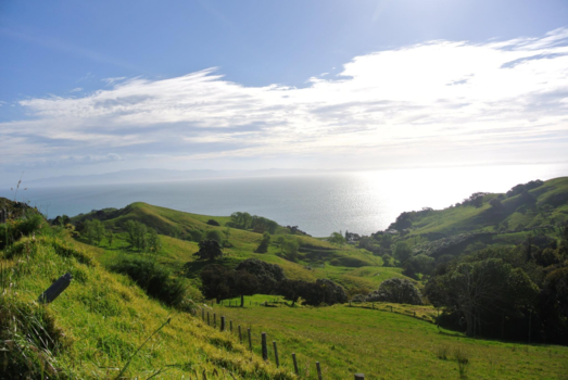 Coromandel Peninsula - Beautiful green