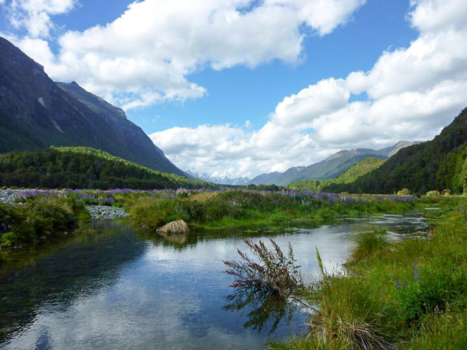 Fiordland National Park - Kleurrijk Milford Sounds