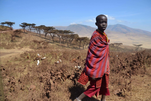 New Zealand International Arts Festival - Een met de natuur...ja toch