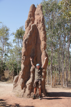 Rondreis Nieuw-Zeeland in zes weken - Into the sky