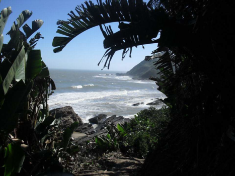 Rondreis Nieuw-Zeeland in zes weken - Sneak preview Port St. Johns