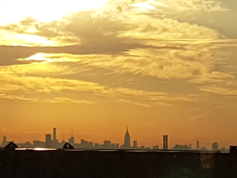 Rondreis Nieuw-Zeeland in zes weken - Sunrise New York