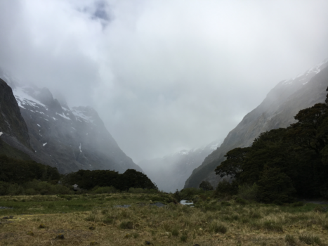 Zuidereiland - Op weg naar Milford Sound