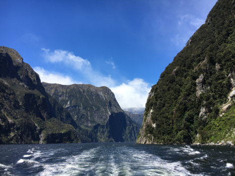 Zuidereiland - Milford Sound