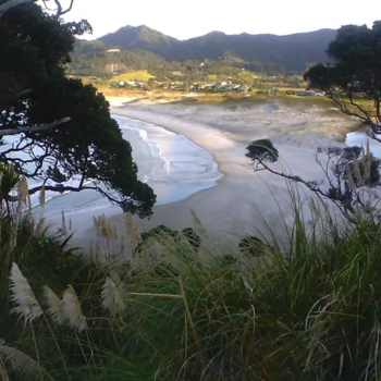 Auckland - Marvelous moments