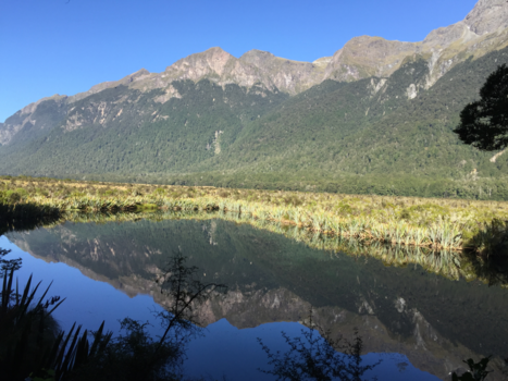 Wizard of New Zealand - Mirror Lake