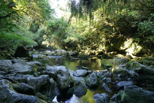 Rondreis Nieuw-Zeeland in zes weken - kleurijke natuur