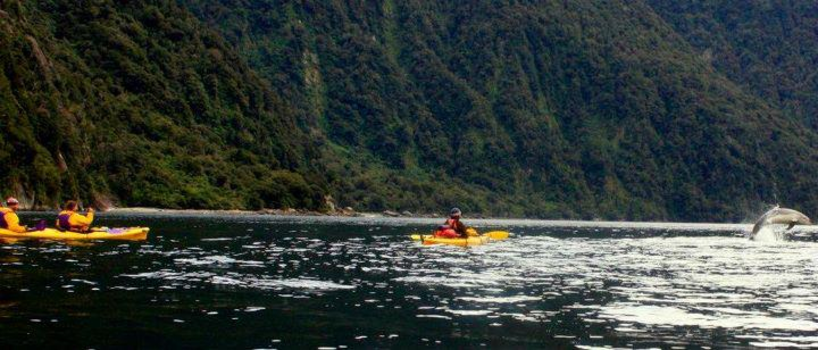 Milford Sound - right place, right time, wrong cam