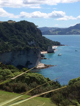 Tongariro National Park - Coromandel