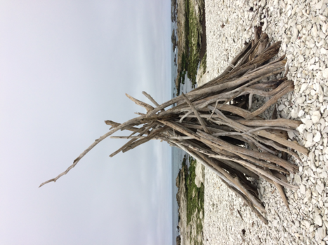 Tongariro National Park - Stilleven...Kaikoura.