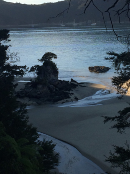Tongariro National Park - Zonsopkomst Abel Tasman NP.