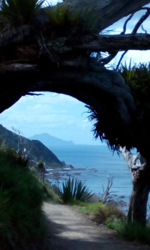Northland - Magical Mangawhai Cliff walk
