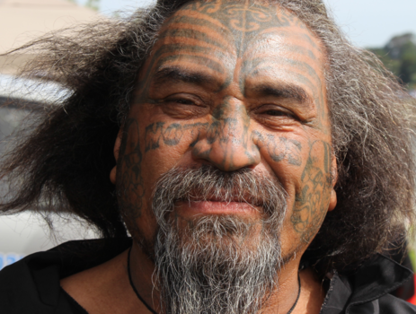 Rondreis Nieuw-Zeeland in zes weken - landschap