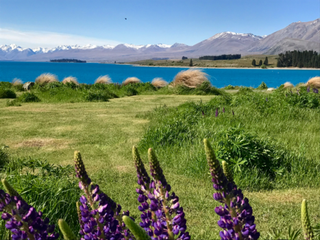 Rondreis Nieuw-Zeeland in zes weken - Lake atekapo