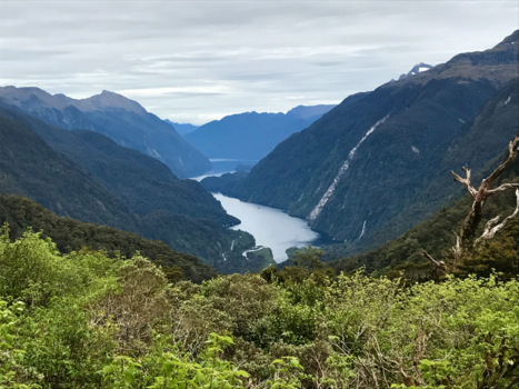 Rondreis Nieuw-Zeeland in zes weken - Doubtfull Sound