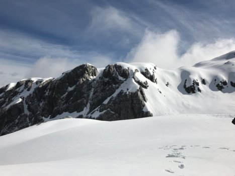 Rondreis Nieuw-Zeeland in zes weken - Fox glacier