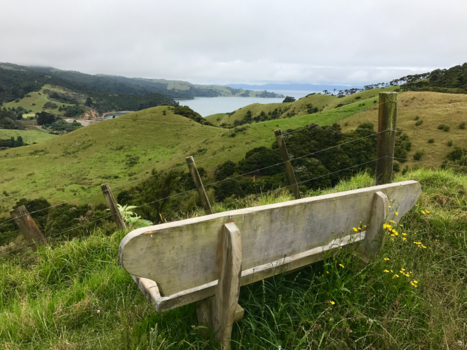 Rondreis Nieuw-Zeeland in zes weken - Waiheke