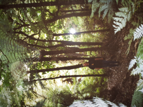 Waitangi - 2000 is te lang geleden