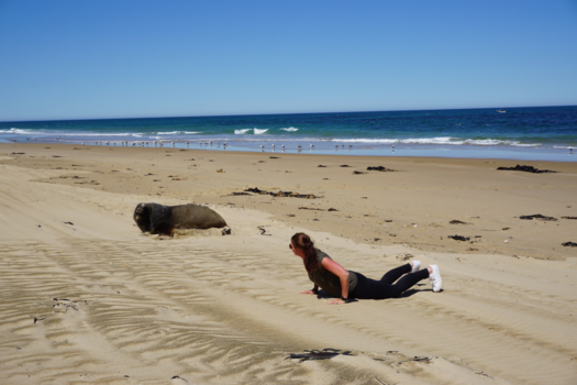Zuidereiland - Samen zonnebaden op het strand....... @waipapalighthouseNZ