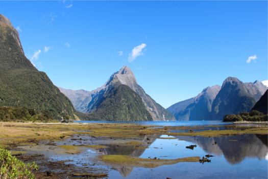 Milford Sound - Milford Sounds - onvergetelijk mooi Nieuw - Zeeland