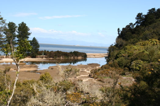 Rondreis Nieuw-Zeeland in zes weken - Nieuw Zeeland ten voeten uit.